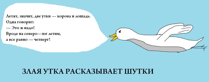 2885112.jpg